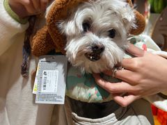 -MARSMART PETS火星宠物超市(1733店)