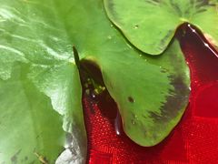 -良友·海鲜青岛菜(五四广场店)