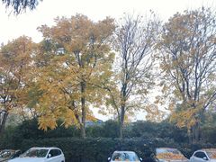 -新荣记(西溪湿地店)