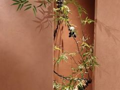 -上井精致料理(大坪店)