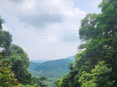 -广州市帽峰山景区