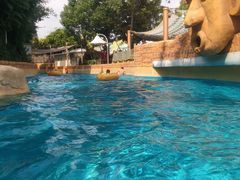 -上海玛雅海滩水公园