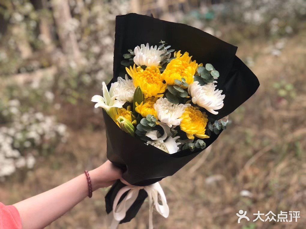便不算离开，春草绿，清明来，清明节是踏青好时节