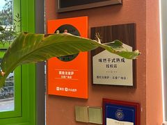 -Dragon Pizza•圆脸龙披萨·牛排餐厅