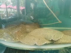 -同道蒸汽海鲜烧烤自助(刘庄夜市店)