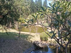 -厦门悦华酒店
