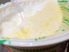 -德禄酸奶(莫家街店)