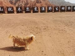 -新疆天山托木尔景区·大峡谷