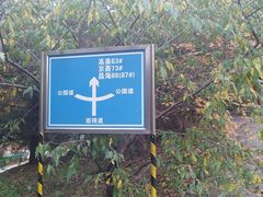 -北京鹫峰国家森林公园