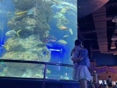 -芜湖新华联大白鲸海洋公园