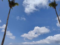 -白沙滩