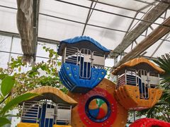 -南宫五洲植物乐园