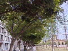 -四川大学(江安校区)