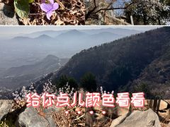 -北京鹫峰国家森林公园