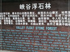 -峡谷浮石林景区