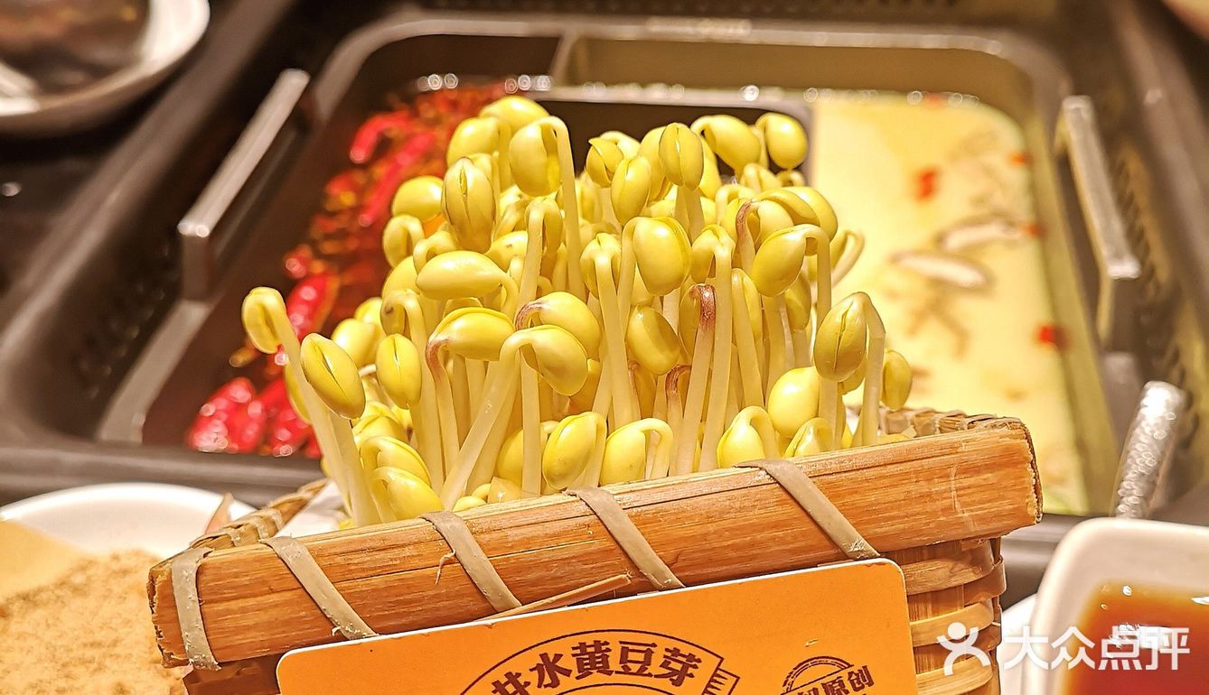 各种原创菜让你流连忘返的巴奴毛肚火锅