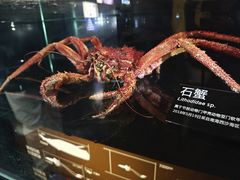 -同济大学四平路校区深海探索馆