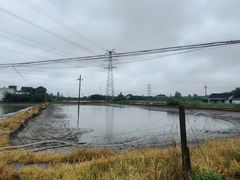 -味德丰·酱鹅(嘉兴新塍店)