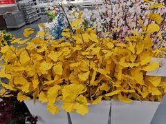 -宜家家居(高新商场店)