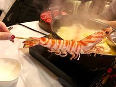 -鲜入围煮花胶鸡海鲜火锅