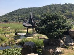 -龙寺生态园