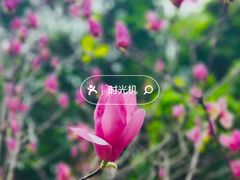 -晓港公园