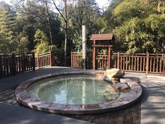 -天目湖涵田半山温泉