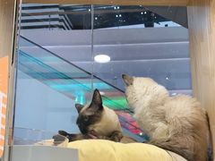 -KKV(深圳宏发大仟里店)