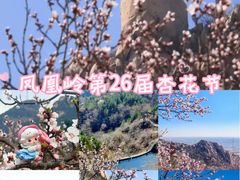 -北京凤凰岭