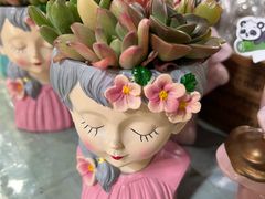 -循礼门鲜花花市(武汉循礼门店)