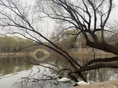 -石家庄市动物园