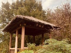 -宝界山林公园