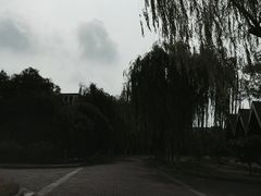 上海太阳岛度假酒店-太阳岛度假酒店