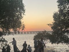 -宝安西湾红树林湿地公园