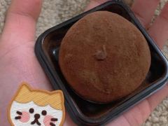 轻盈版杨枝甘露-瑞幸咖啡(星河WORLDCOCOPark店)