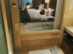-电谷雅阁国际大酒店