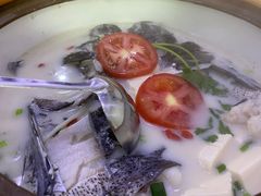 -全乐鱼馆·淳牌有机鱼直营店