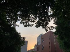 -四川大学(望江校区)