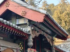 -宫事颐庭·老佛爷贵寿下午茶(颐和园店)