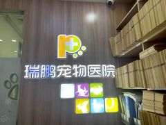 -瑞鹏宠物医院·宠保定点·心脏科·内科(御桥分院)