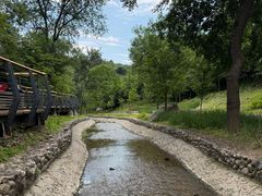 -白水寺森林公园