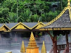 -西双版纳原始森林公园