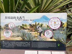 -深圳仙湖植物园
