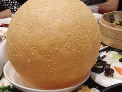 麻球-乡村大苑(嘉定店)