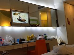 -深圳东部华侨城瀑布酒店