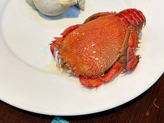 -太原富力万达文华酒店·美食汇西餐厅