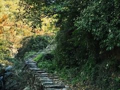-蒋氏故居