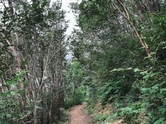 -北京鹫峰国家森林公园