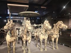 -秦始皇帝陵博物院-丽山园