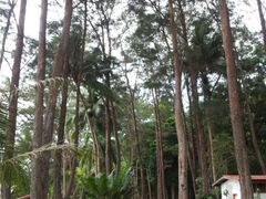 -环滩岛